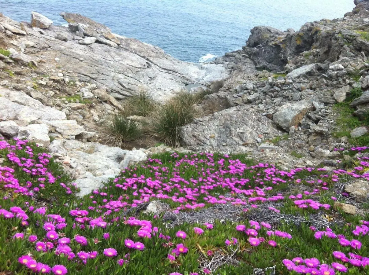 Isola d'Elba Come in Barca, a un Tuffo dal Mare Capoliveri  Italia
