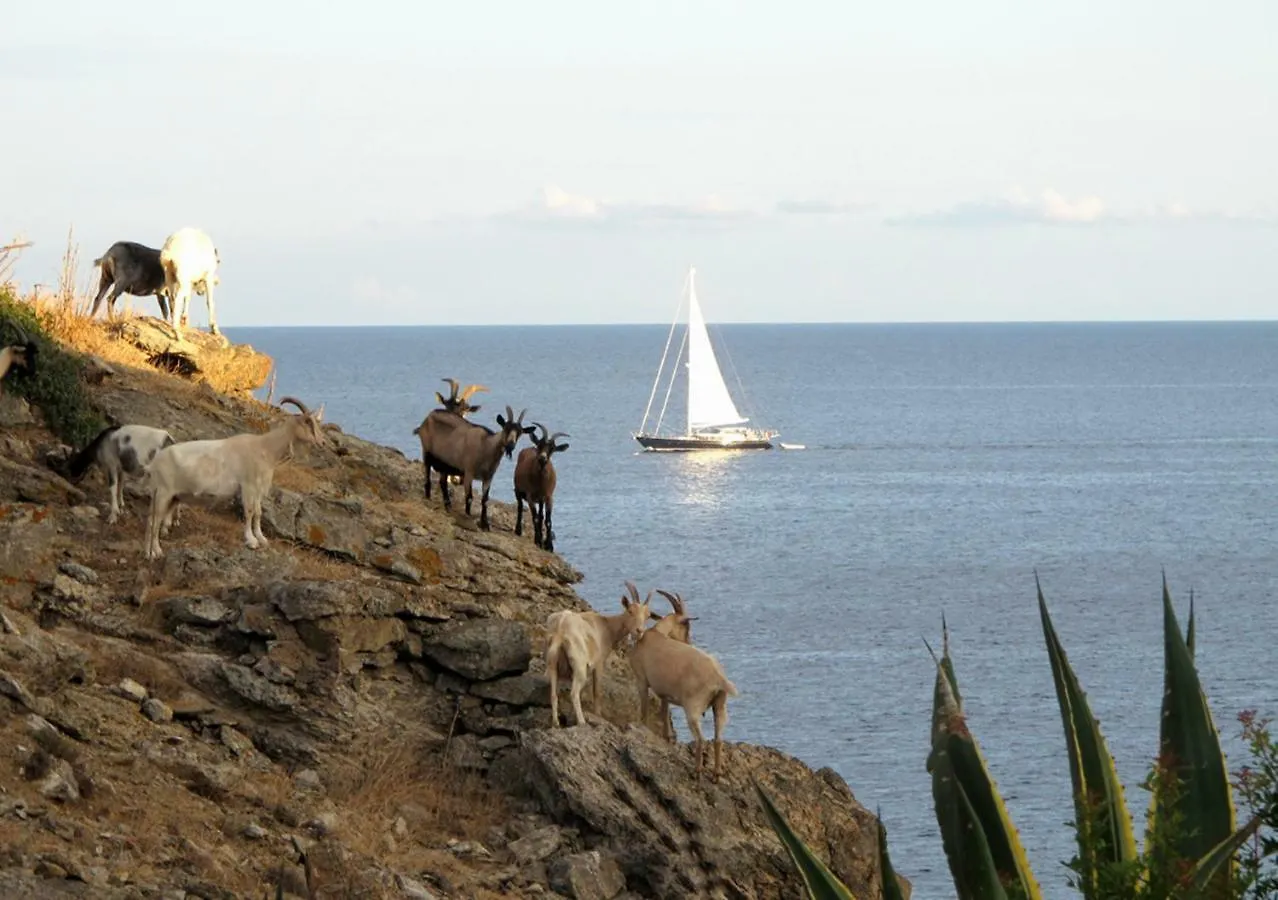 Holiday home Isola D'Elba Come In Barca, A Un Tuffo Dal Mare Capoliveri